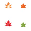 Maple leaf vector illustration Royalty Free Stock Photo