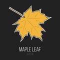 Maple Leaf Vector Isolated Element