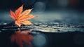 Maple leaf with water drops on a dark background. Autumn concept. Generative AI Royalty Free Stock Photo