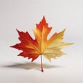 1 maple leaf on a white background, super realistic photo, contrasting colors,