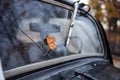 Maple leaf on the windshield Royalty Free Stock Photo