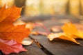 Maple leaf on the wooden wet floor