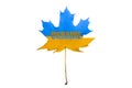 Maple leaf yellow and blue with the inscription UKRAINE. National symbols of Ukraine Royalty Free Stock Photo