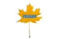 Maple leaf of yellow color with a blue inscription UKRAINE. National symbols of Ukraine Royalty Free Stock Photo