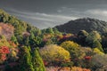 Maple leafs in Kyoto, temples in Kyoto