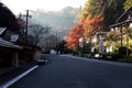 Maple leafs in Mount Yoshino