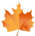 Maple leave