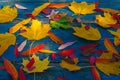 Colorful autumn leaves on blue scuffed boards.