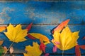 ÃÂ¡olorful autumn leaves on blue scuffed boards.
