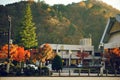 Maple leaves changing color, Autumn seasons at Tokyo in Japan Royalty Free Stock Photo