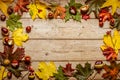 Maple leaves and chestnuts on a wooden background. Frame. Congratulation Royalty Free Stock Photo