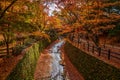 Maple leaves colorful falling in autumn season along canal stone at Kitano Tenmangu Shrine, Kyoto, Japan