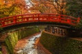 Maple leaves colorful falling in autumn season along red bridge at Kitano Tenmangu Shrine, Kyoto, Japan