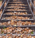 Wooden stairway covered with fallen autumn leaves Royalty Free Stock Photo
