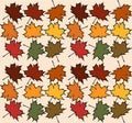 Maple leaves of different colors seamless pattern texture. Autumn maple tree leaf, vector Royalty Free Stock Photo