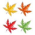 Maple leaves icon set isolated on white. Seasonal clipart in vivid colors. Yellow, orange, red, green, colours. Autumn vector Royalty Free Stock Photo