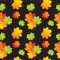 Maple leaves pattern