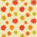 Beautiful maple fall leaves seamless pattern on light cream background Royalty Free Stock Photo