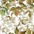 Maple leaves pattern in a watercolor style. Royalty Free Stock Photo