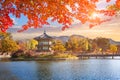 Maple leaves with pavilion old traditional at Gyeongbokgung palace, Seoul, South Korea. Royalty Free Stock Photo