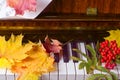 Maple leaves on a piano