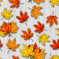 Maple leaves seamless pattern on gray wood background. Autumn foliage of deciduous tree lying on ligneous texture. Fall