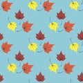 Maple leaves seamless vector blue orange art background Royalty Free Stock Photo