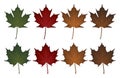 Maple Leaves-Sugar and Norway