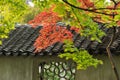 Maple Leaves and Traditional Tiled Roof