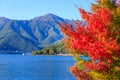 Red maple leaves in autumn at Kawaguchi lake, Kawaguchigo, Japan.