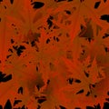 Maple leaves vector, autumn foliage on transparent background. Canadian symbol maple red dry autumn leaves. Fancy tree