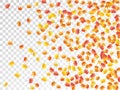 Maple leaves vector illustration, autumn foliage on transparent background. Royalty Free Stock Photo