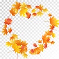 Maple leaves vector illustration, autumn foliage on transparent background Royalty Free Stock Photo