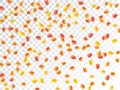 Maple leaves vector illustration, autumn foliage on transparent background. Royalty Free Stock Photo