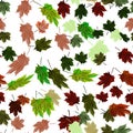 Maple Leaves Vector Seamless Pattern autumn style