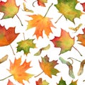 Maple leaves watercolor botanical seamless pattern. Bright autumn leaves on a white background