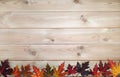 Maple leaves on wooden boards. Top view. Copy place for inscription. Royalty Free Stock Photo