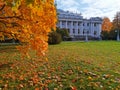 Maple with orange, bright, autumn leaves against the background of the Palace with columns, stairs and lions