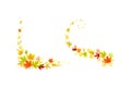 Maple Palmate Leaves of Bright Autumn Colour Arranged in Decorative Swirling Line and Border Corner Vector Set