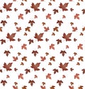 Maple plant leaves pattern-02