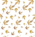 Maple plant leaves pattern-01