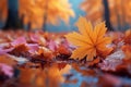 Maple in rain Vibrant autumn hues reflect on wet branches Royalty Free Stock Photo