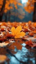 Maple in rain Vibrant autumn hues reflect on wet branches Royalty Free Stock Photo