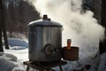 maple sap evaporator, with steam rising, and the sweet smell of maple syrup in the air