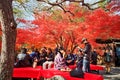 Maple season at fall, Japan