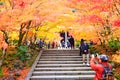 Maple season at fall, Japan