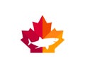 Maple Shark logo design. Canadian Shark logo. Red Maple leaf with Shark vector Royalty Free Stock Photo