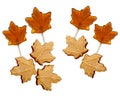Maple sugar candies and Lollipops Royalty Free Stock Photo