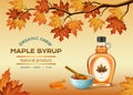 Maple Syrup Composition