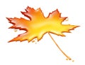 Maple Syrup Leaf